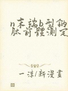 n末端b型钠尿肽前体测定