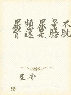 尿频尿量不多是肾还是膀胱不好