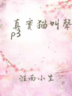 真实猫叫声音mp3