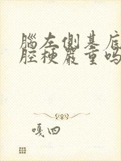 脑左侧基底节区腔梗严重吗