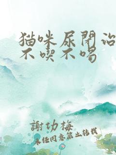 猫咪尿闭治疗后不吃不喝