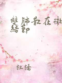 双肺散在微小小结节