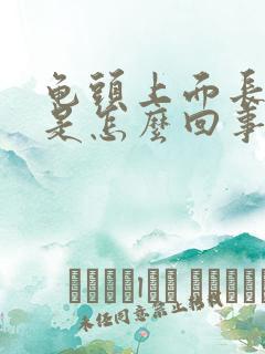 龟头上面长红痘是怎么回事