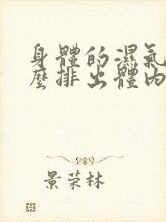 身体的湿气重怎么排出体内