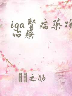 iga肾病药物治疗