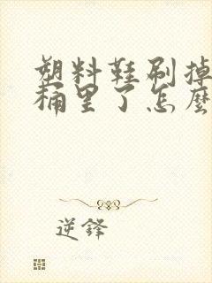 塑料鞋刷掉进马桶里了怎么办