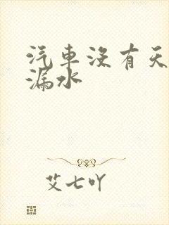 汽车没有天窗还漏水