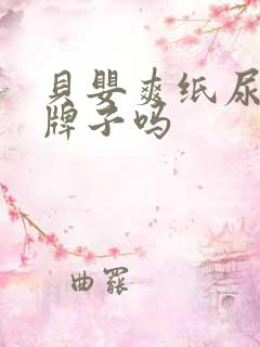 贝婴爽纸尿裤是牌子吗