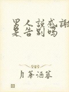 男人说感谢遇见是告别吗