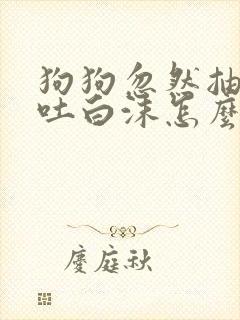 狗狗忽然抽搐口吐白沫怎么回事