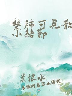 双肺可见散在微小结节