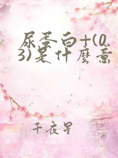 尿蛋白+(0.3)是什么意思