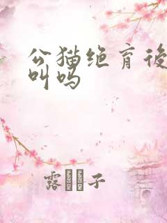 公猫绝育后还会叫吗