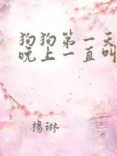 狗狗第一天到家晚上一直叫怎么办