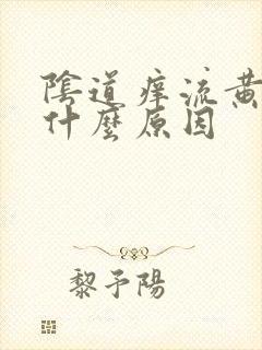 阴道痒流黄水是什么原因