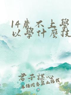 14岁不上学可以学什么技术