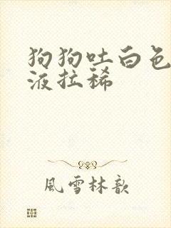 狗狗吐白色的黏液拉稀