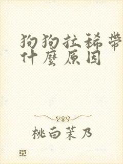 狗狗拉稀带血是什么原因