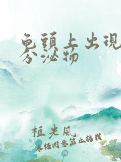 龟头上出现黄色分泌物