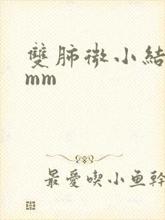 双肺微小结节4mm