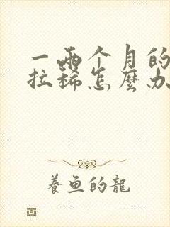 一两个月的小狗拉稀怎么办