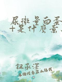 尿微量白蛋白1+是什么意思