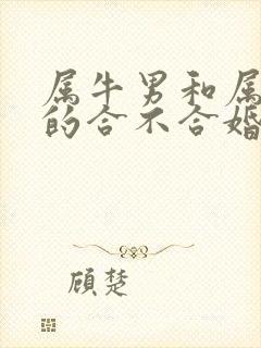 属牛男和属马女的合不合婚