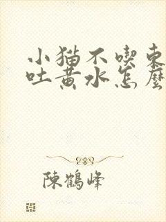 小猫不吃东西还吐黄水怎么办