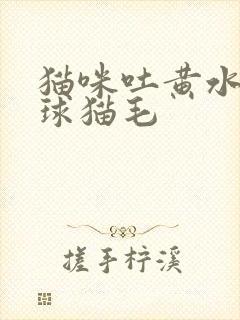 猫咪吐黄水有毛球猫毛