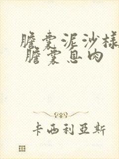 胆囊泥沙样结石 胆囊息肉