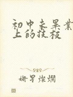 初中未毕业可以上的技校