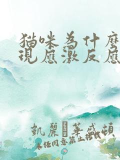 猫咪为什么会出现应激反应