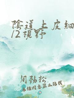 阴道上皮细胞1/2视野