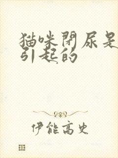 猫咪闭尿是怎么引起的