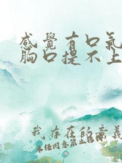 感觉有口气堵在胸口提不上来