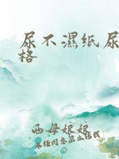 尿不湿纸尿裤价格