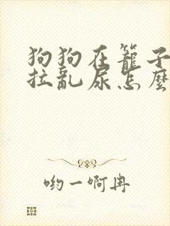 狗狗在笼子里乱拉乱尿怎么办