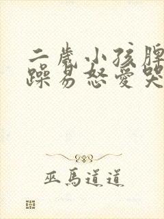 二岁小孩脾气暴躁易怒爱哭怎么办