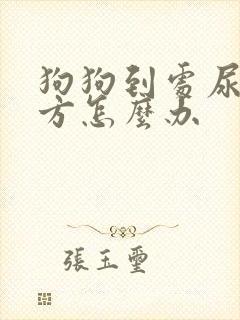 狗狗到处尿占地方怎么办