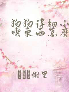 狗狗得细小后不吃东西怎么办