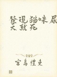 发现猫咪尿血3天就死