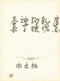 泰迪狗乳房旁边长了硬块怎么办