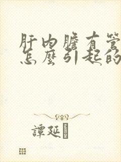 肝内胆有管结石怎么引起的怎样治疗