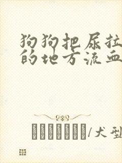 狗狗把尿拉出来的地方流血了是什么原因