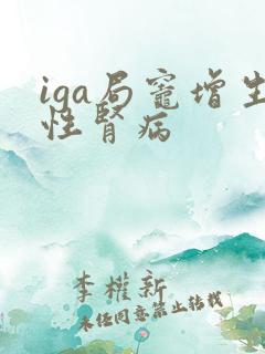 iga局灶增生性肾病