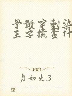 骨髓穿刺染色体主要检查什么