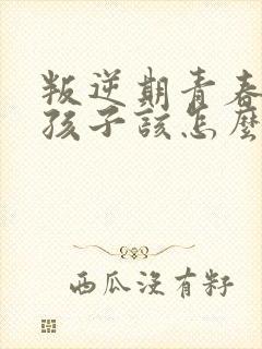 叛逆期青春期的孩子该怎么教