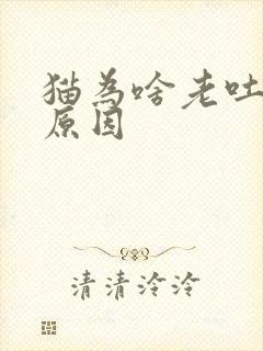 猫为啥老吐黄水原因