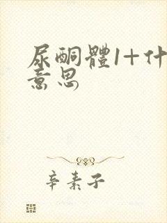 尿酮体1+什么意思