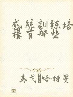 感统训练培训机构有哪些